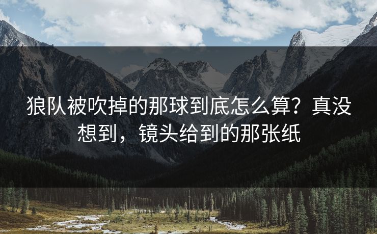 狼队被吹掉的那球到底怎么算？真没想到，镜头给到的那张纸